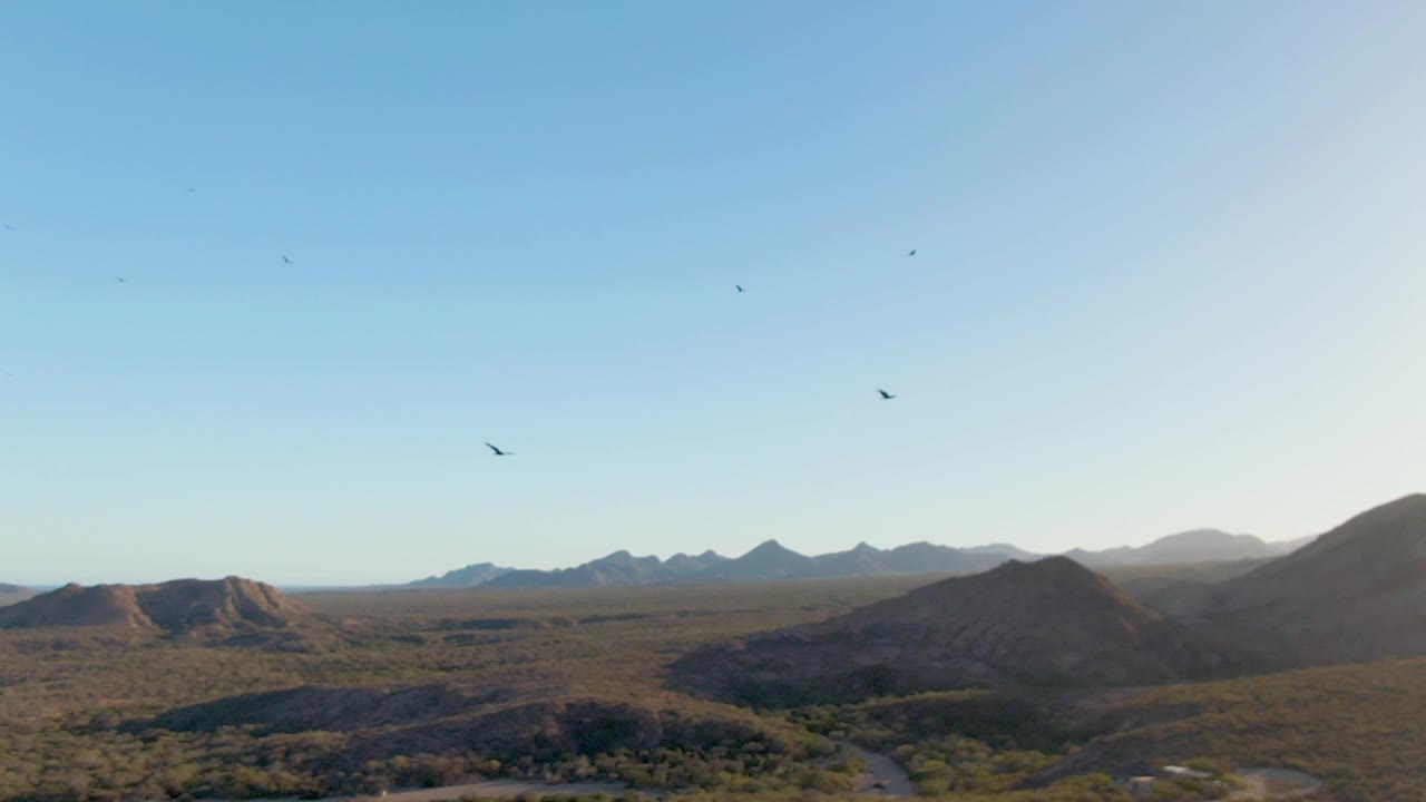 Birds fly over an open Cabo Pulmo desert valley with low hills, distant ridgelines, brush-covered terrain, and no visible people.