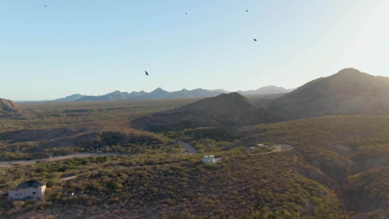 Aerial view in Cabo Pulmo shows birds above scrubby desert hills, winding dirt roads, small pale structures, distant mountains, and no visible people.
