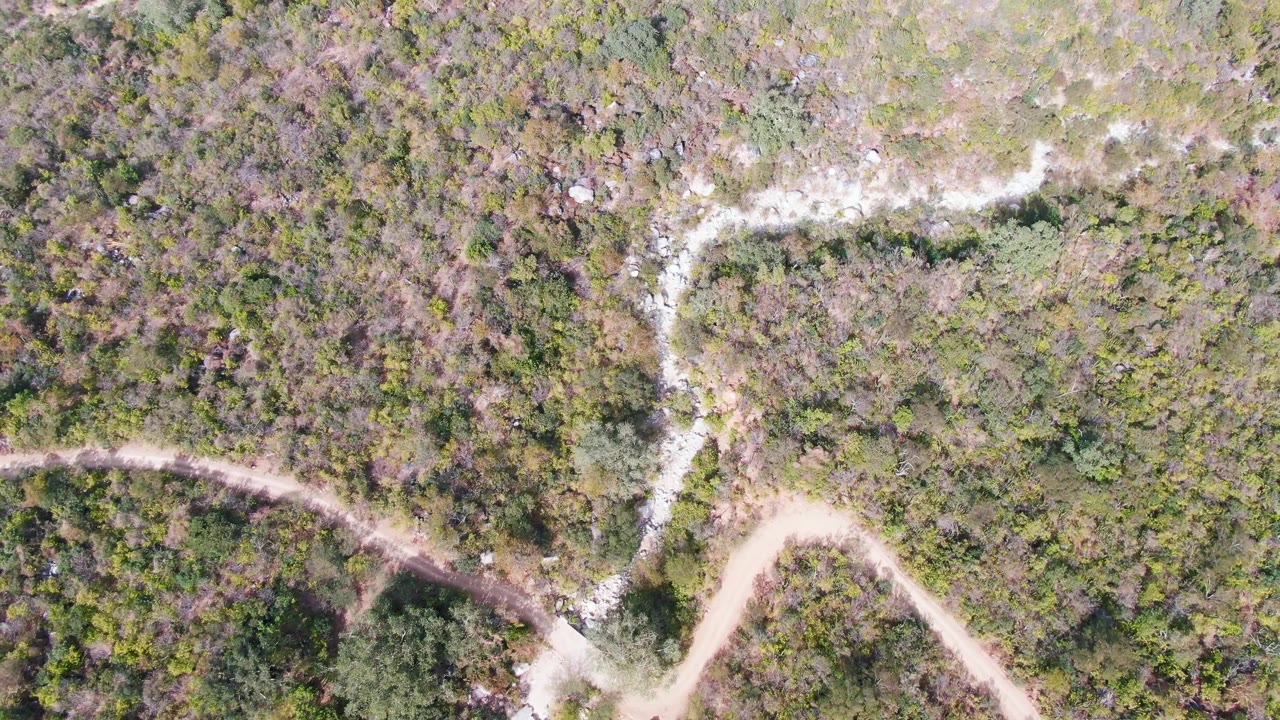 Later overhead frame from San Dionisio, Baja California Sur showing the road curve near the lower edge, the pale streambed branching through dense vegetation, and no visible people.