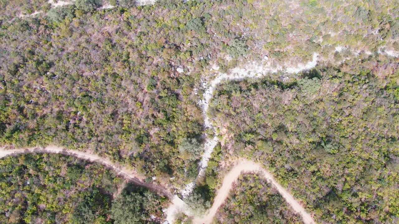 Overhead view of winding dirt roads through scrub forest.
