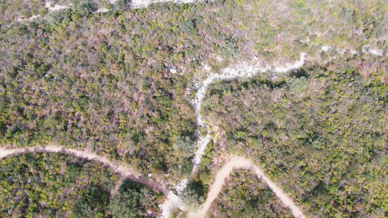 Aerial view over San Dionisio, Baja California Sur, with a pale road bend and dry wash lines surrounded by mottled green and brown vegetation and no visible people.