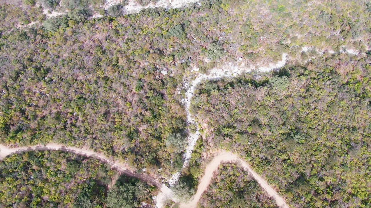Overhead frame from San Dionisio, Baja California Sur, with a pale dirt-road junction near the lower left and dense brush across the surrounding terrain with no visible people.