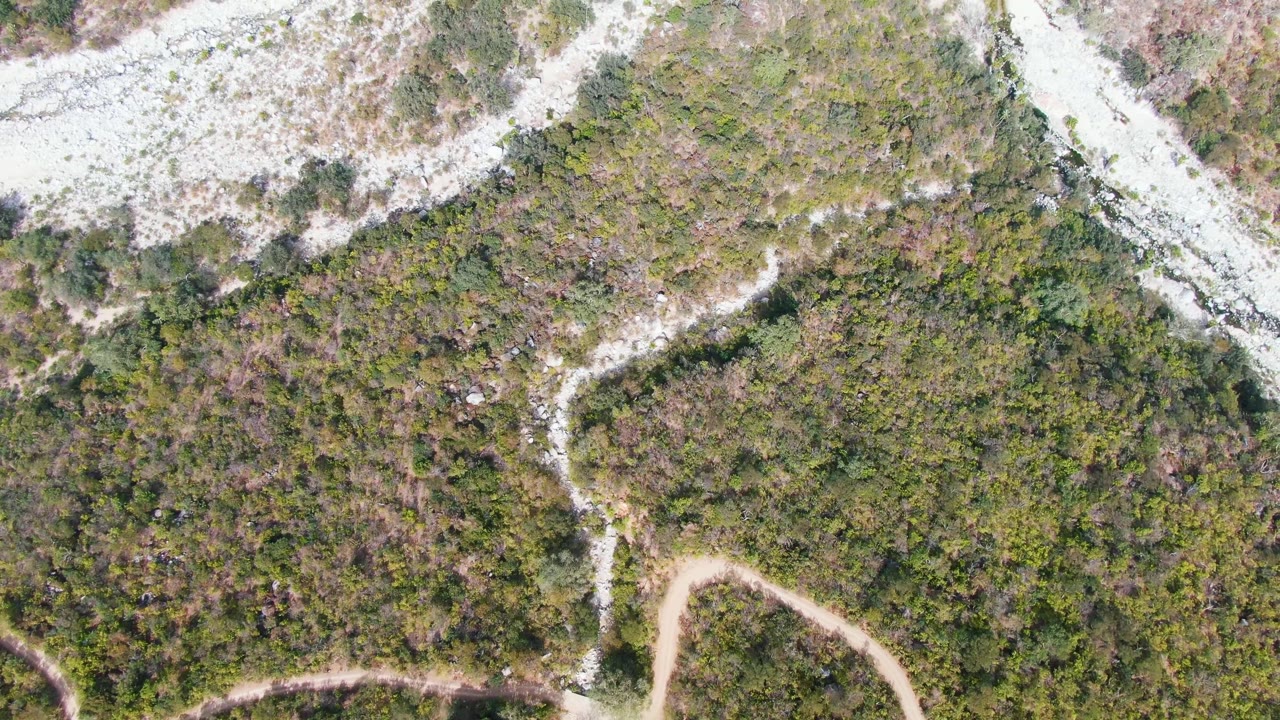 Overhead view of a pale dirt path through green scrub and rocky ground.