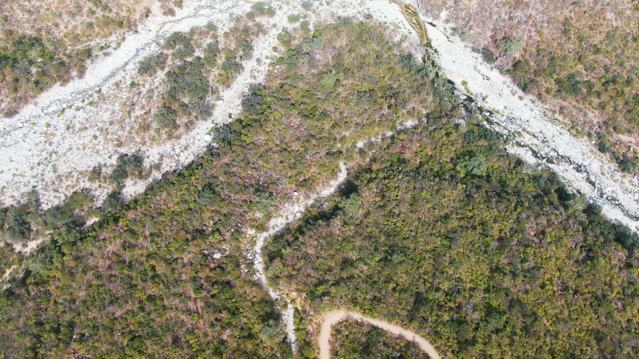 Aerial frame over San Dionisio, Baja California Sur, with branching pale ridge channels cutting through green and brown mountain vegetation, with no visible people.
