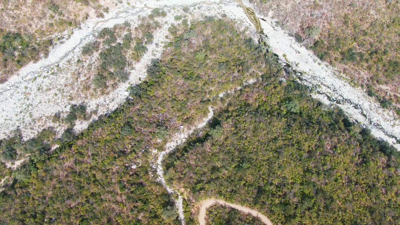 Aerial view in San Dionisio, Baja California Sur, showing light snow or rock bands across a forested mountain slope and a curved dirt road near the lower frame, with no visible people.