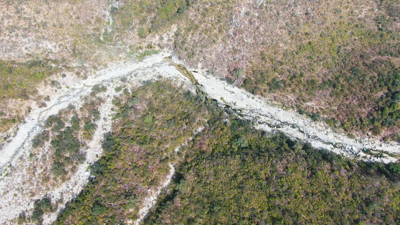 Top-down San Dionisio frame showing a pale mountain road or wash running diagonally between dense scrub patches, with no visible people in the landscape.