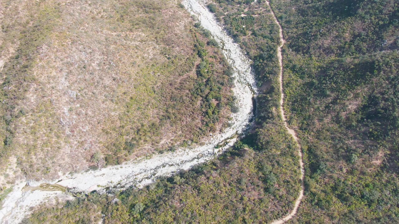 High drone frame over San Dionisio, Baja California Sur showing the winding pale riverbed as a divider between dry open grassland and darker forested terrain, with no visible people.