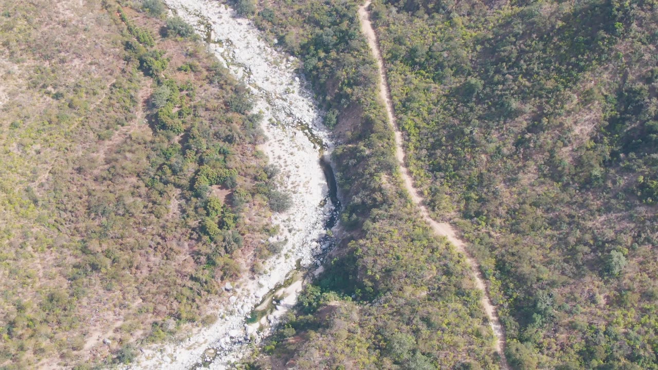 Overhead San Dionisio, Baja California Sur frame with the rocky streambed lower left, the dirt trail to the right, and dense green tree cover filling the upper frame, with no visible people.