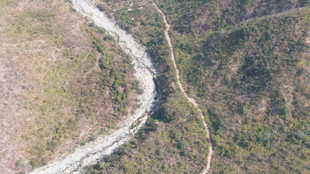 High overhead frame from San Dionisio, Baja California Sur, showing the pale riverbed crossing the upper portion of the view while a dirt track runs near darker vegetation and no visible people.