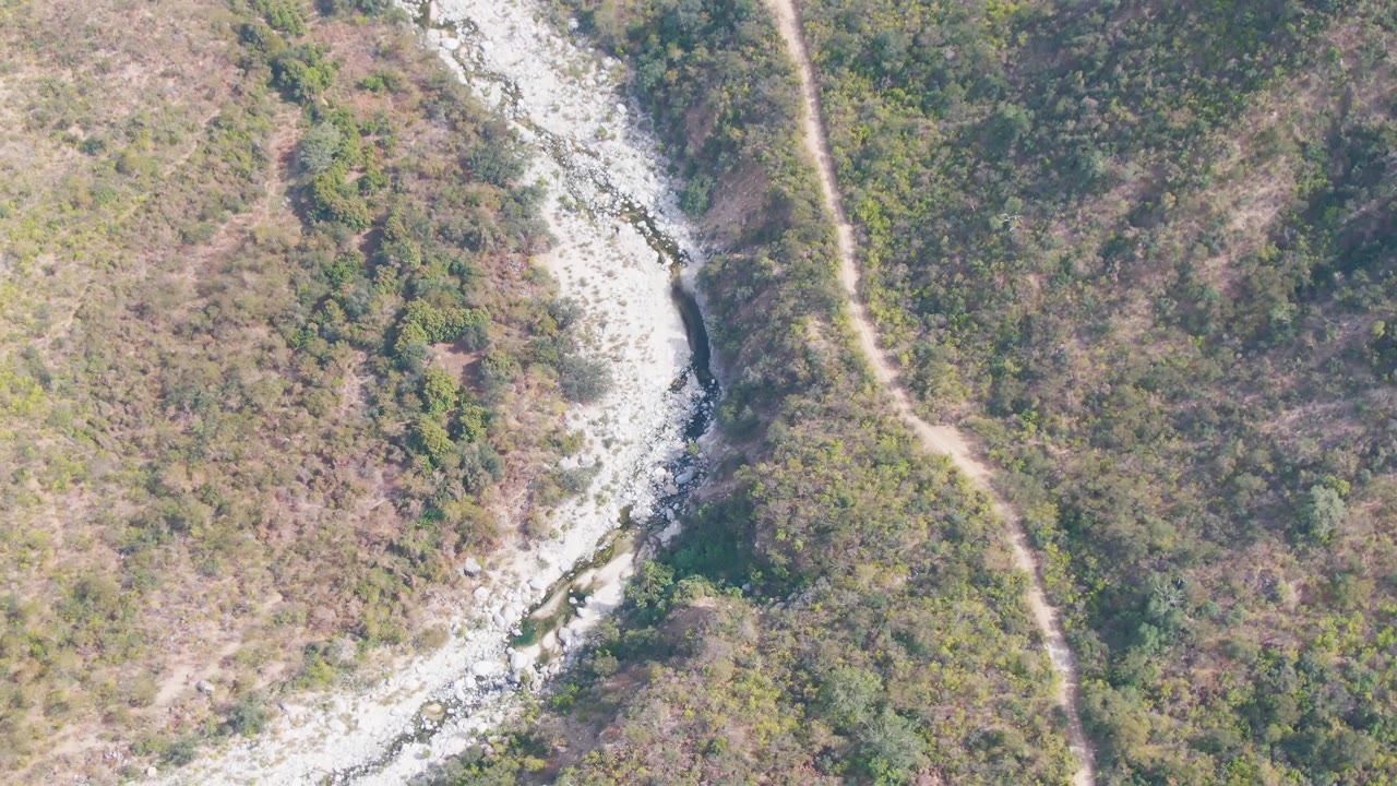 Aerial frame from San Dionisio, Baja California Sur, where the bright stony riverbed arcs between patches of green brush and the dirt path remains visible along the right hillside, no visible people.
