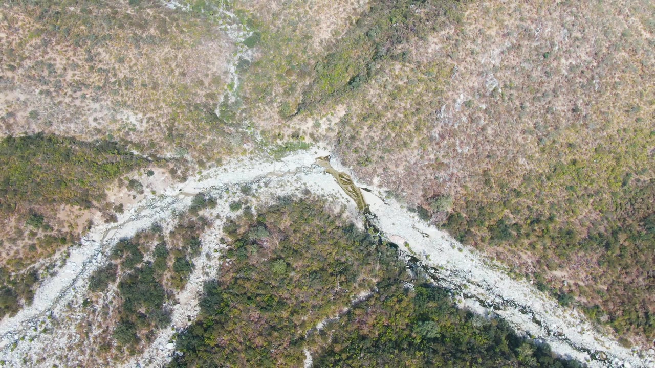 A near-vertical aerial frame over San Dionisio, Baja California Sur, with the pale mountain route bending across mixed green shrubs and brown brush, no visible people.