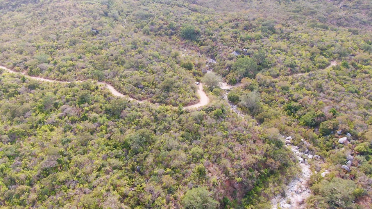 Aerial frame from San Dionisio, Baja California Sur showing the road looping through dense green scrub with scattered trees and a rocky stream channel near the right edge, with no visible people.