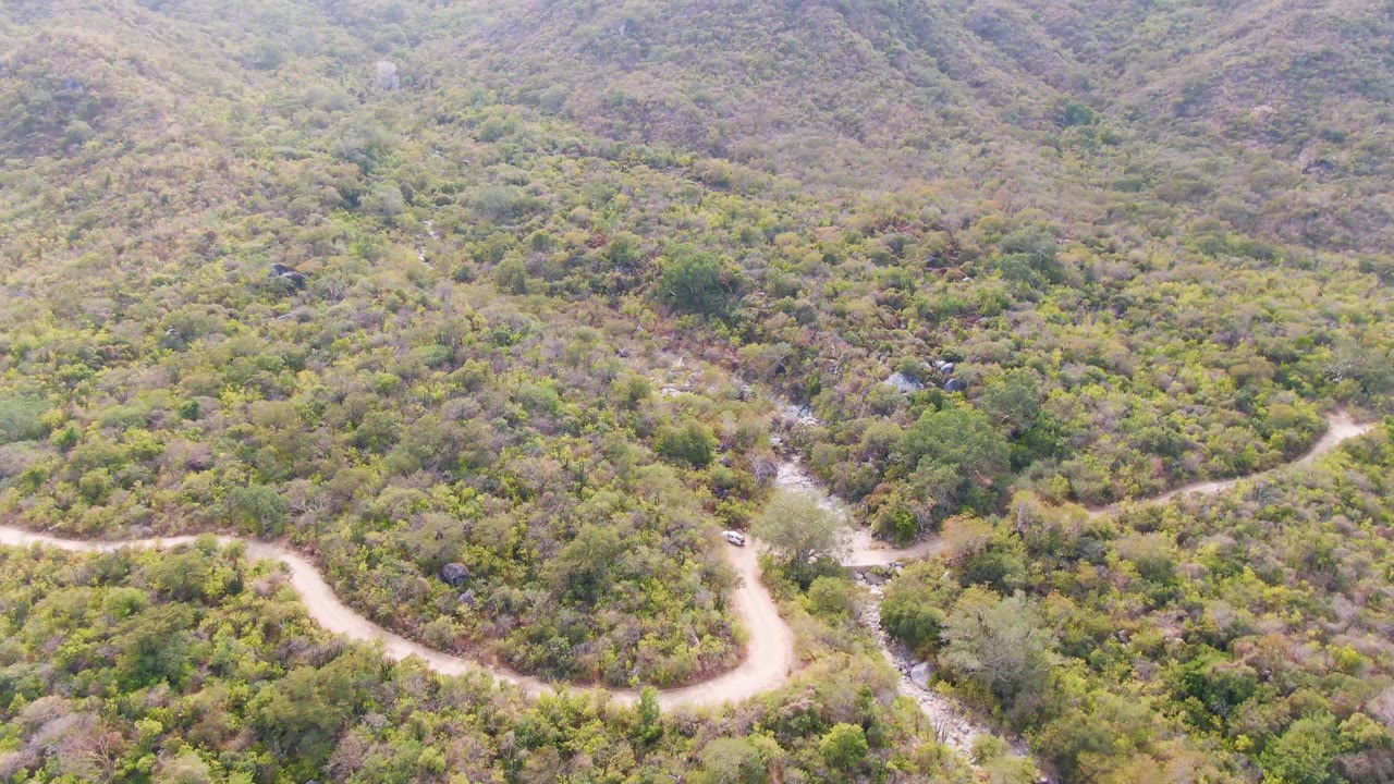 A pale dirt road bends around a brushy hillside in San Dionisio, Baja California Sur, with rocky ground and no visible people.