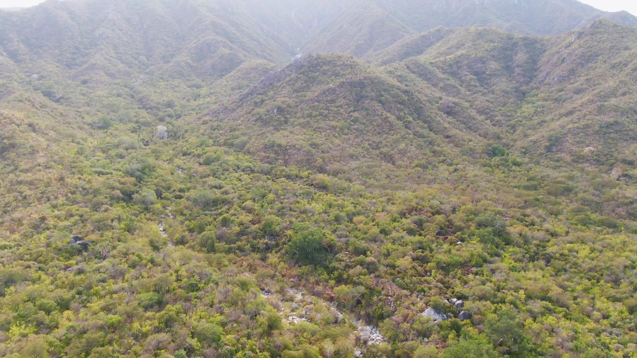 Wide aerial frame of San Dionisio, Baja California Sur showing green valley vegetation, brown ridgelines, pale stream traces, hazy bright sky, and no visible people.