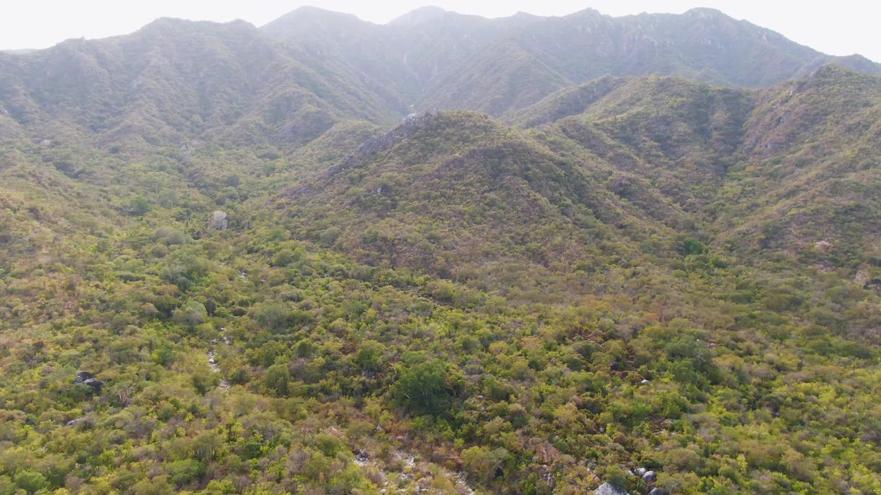 Aerial mountain valley with dense greenery and muted ridge shadows.