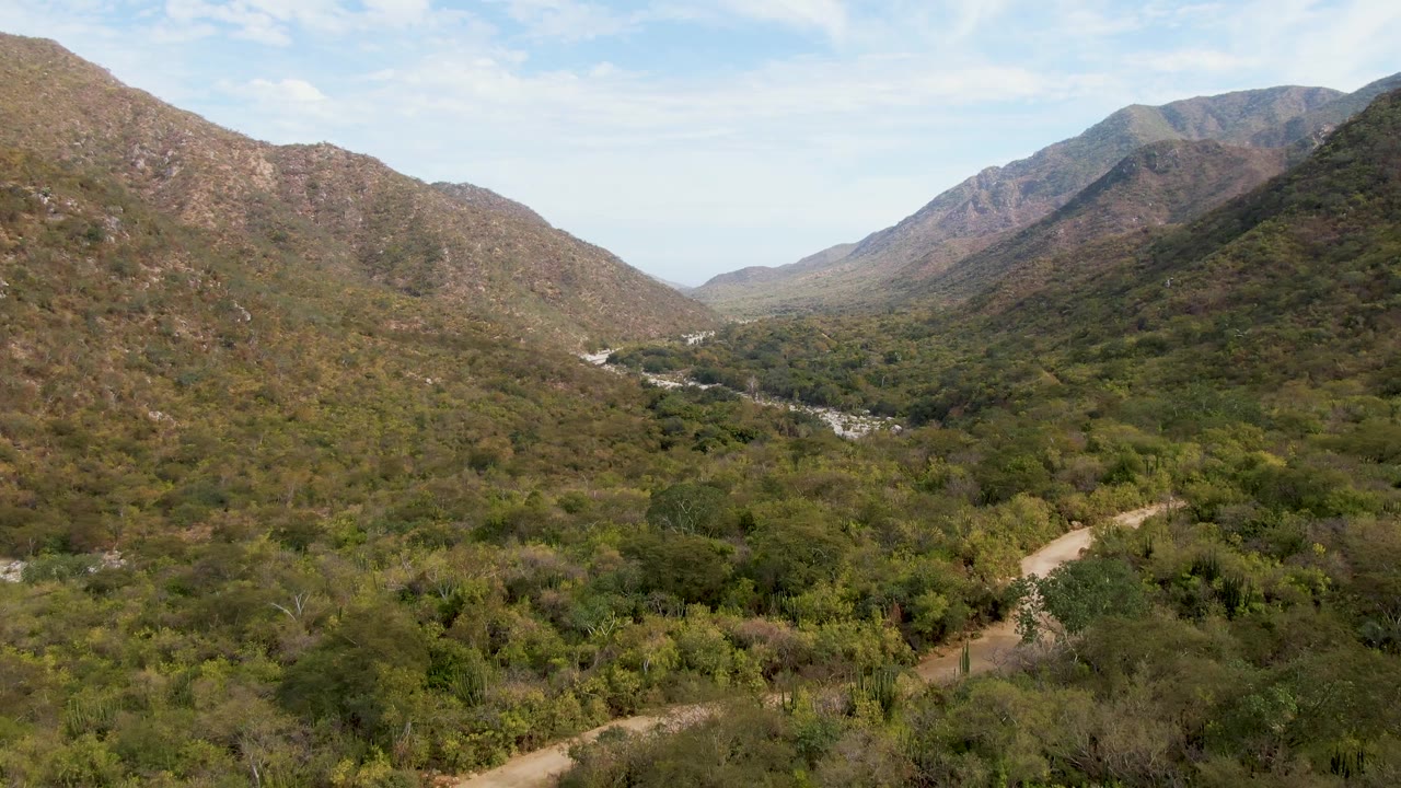 Later aerial frame over the San Dionisio mountain valley, with the dirt road crossing the lower right foreground, dense brush and trees filling the center, distant pale riverbed detail, and no visible people.