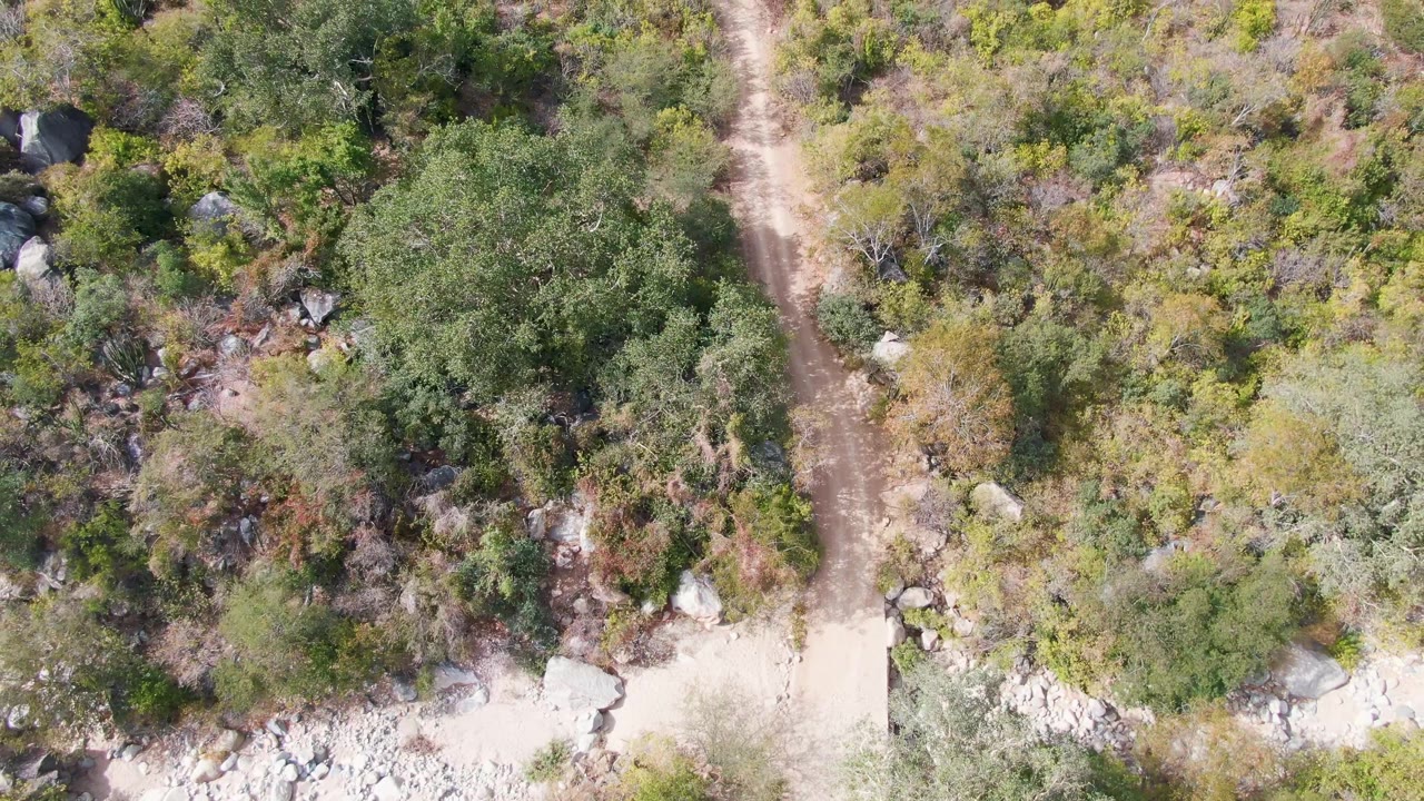 Overhead view of a brown dirt trail bordered by dense green brush, dry plants, and rocky patches in San Dionisio, Baja California Sur, with no visible people.