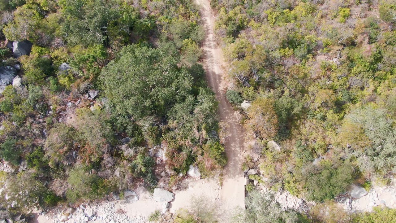 Top-down frame of the trail passing through shrubs and small trees, with boulders and pale rocky soil visible in San Dionisio, Baja California Sur, and no visible people.