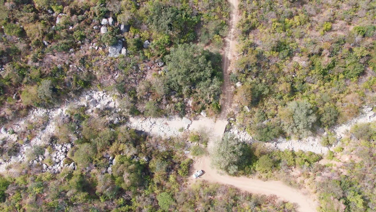 Overhead San Dionisio, Baja California Sur frame with the white car on the lower dirt road, a crossing track nearby, mixed trees, dry brush, rocks, and no visible people.
