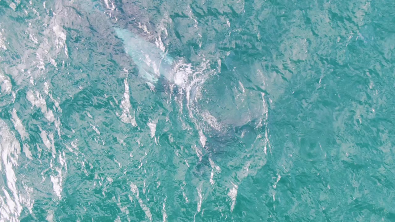 Turquoise ocean surface with white ripples and faint submerged shapes.
