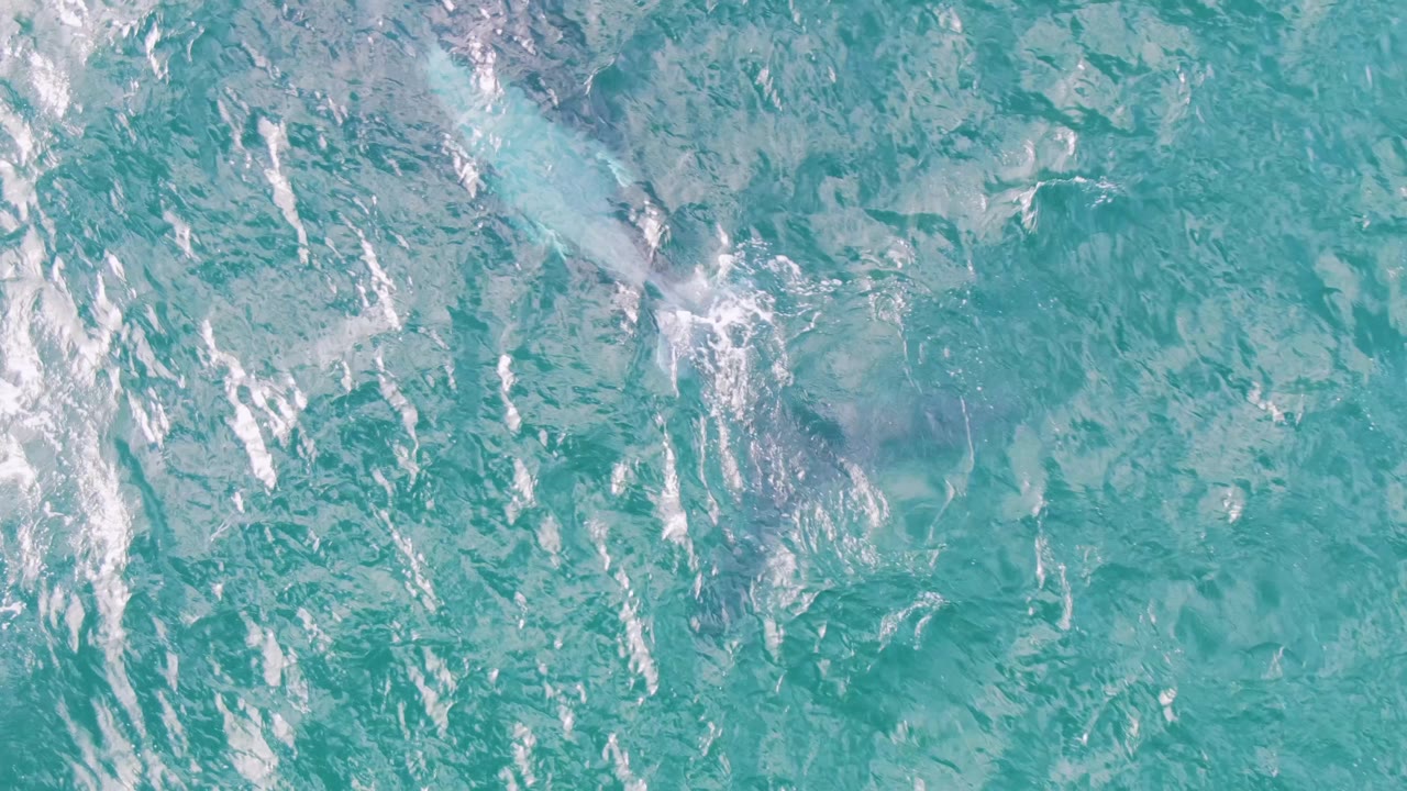 Aerial frame over Shipwrecks, Baja California Sur, showing blue-green water, scattered white foam, and a muted darker patch below the surface, no visible people.