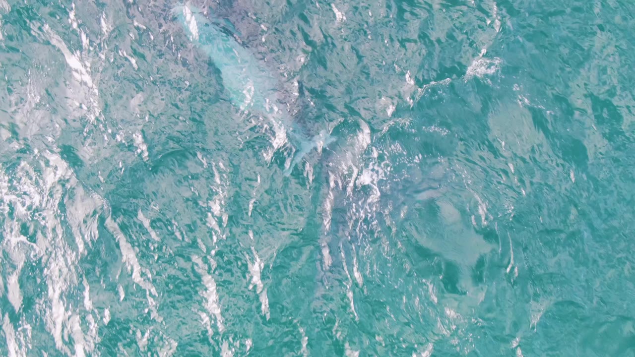 Top-down view of turquoise water at Shipwrecks, Baja California Sur, with bright white ripples and a small surface disturbance in the open ocean, no visible people.