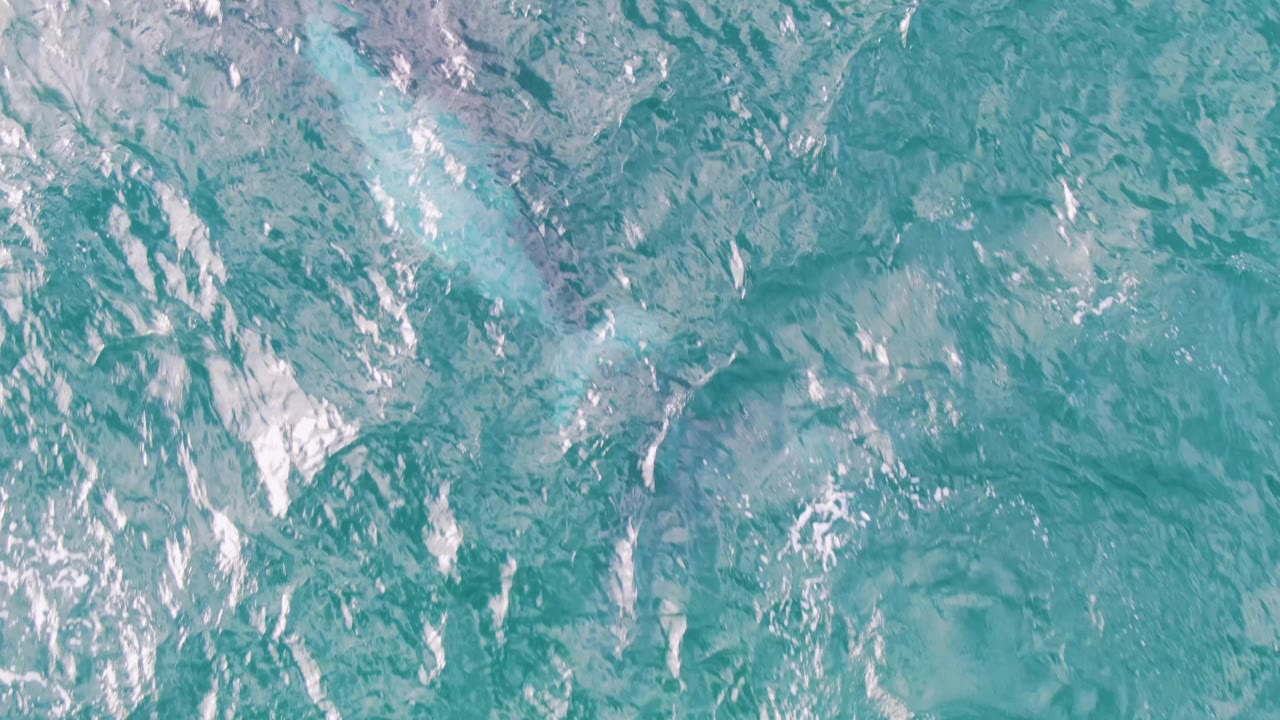 Overhead frame from Shipwrecks, Baja California Sur, with foamy white streaks crossing turquoise ocean water and darker submerged shapes nearby, no visible people.