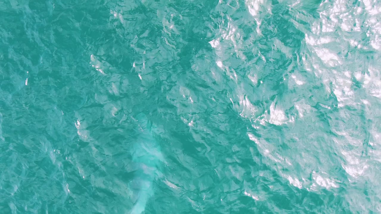 Aerial frame over Shipwrecks ocean water with surface texture and a faint pale trail from the dolphin beneath the turquoise water, no visible people.