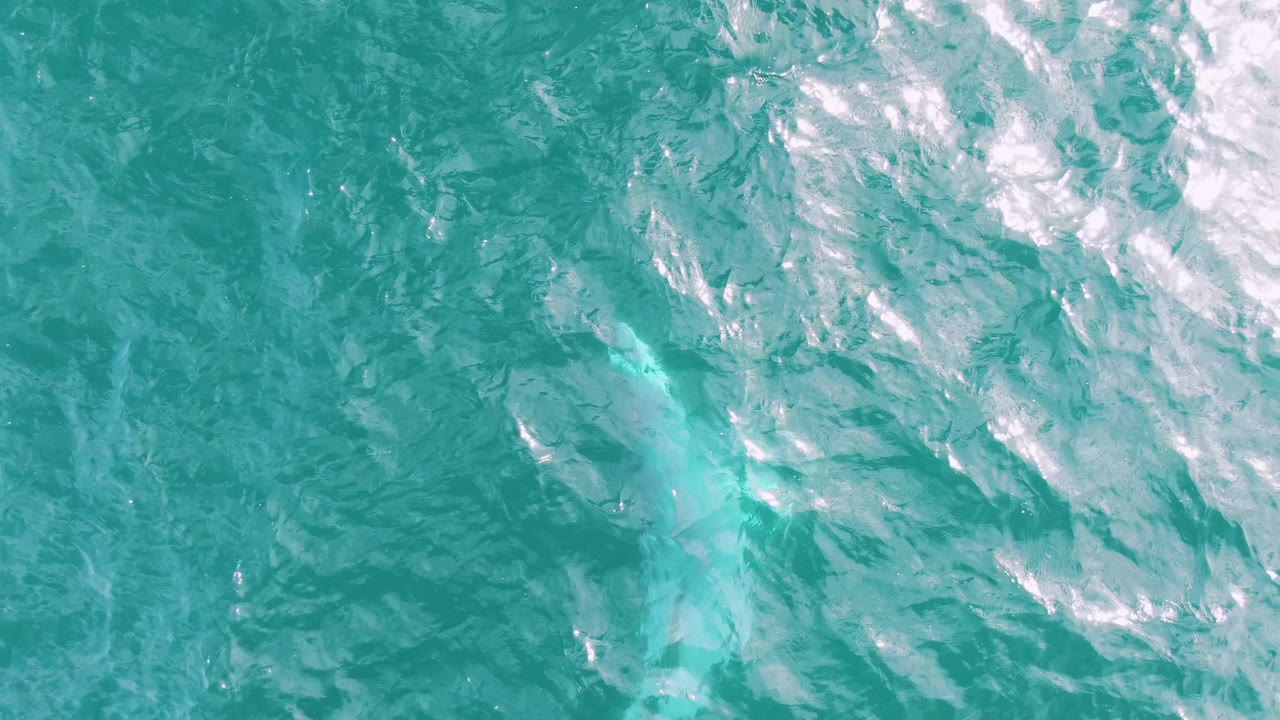 Aerial view at Shipwrecks with the dolphin silhouette and pale wake under the turquoise surface, framed only by moving water and no visible people.