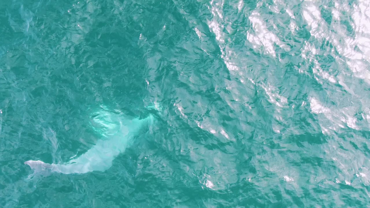Top-down Shipwrecks ocean view in Baja California Sur, Mexico, where the whale silhouette sits below brighter turquoise water with scattered surface reflections and no visible people.