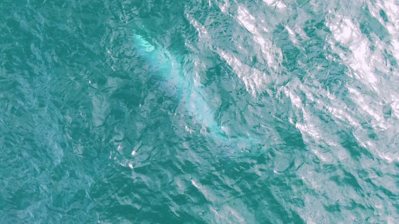 At Shipwrecks, Baja California Sur, Mexico, the frame shows turquoise sea with a pale underwater shape near center-left and brighter broken wave reflections on the right, no visible people.