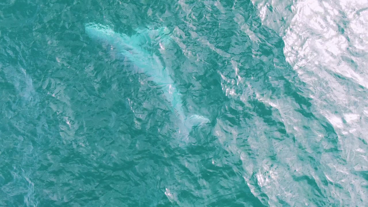 Overhead Shipwrecks, Baja California Sur, Mexico frame with the pale blue trail stretching through turquoise rippled water and a brighter patch of surface reflection at lower right, no visible people.