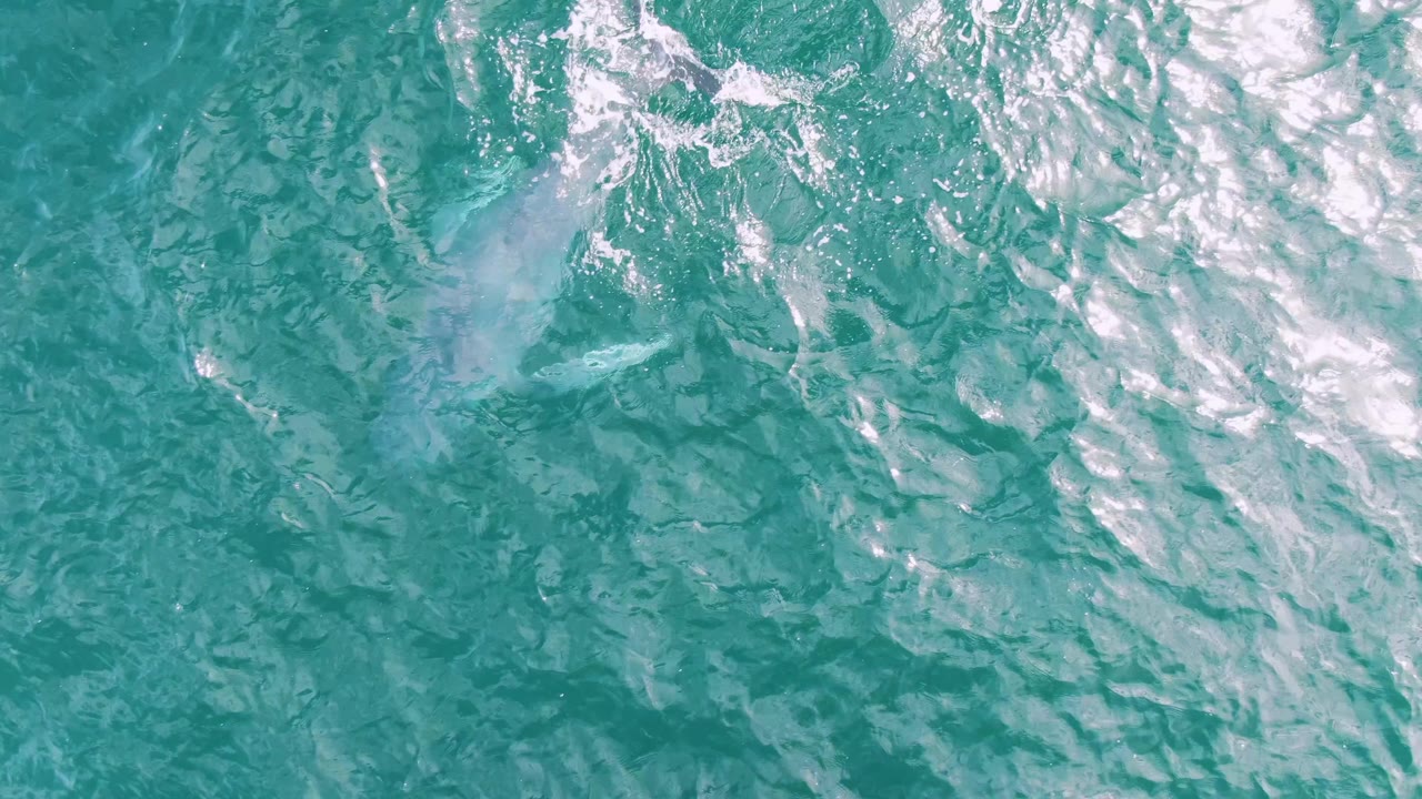 At Shipwrecks, Baja California Sur, Mexico, the whale remains below the surface as brighter foam crosses the upper right of the turquoise frame, with no visible people.