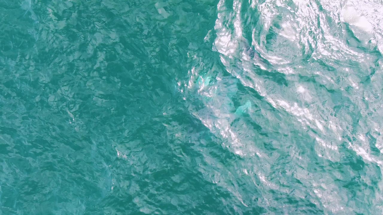 Clear turquoise ocean surface with the whale faintly visible under foam.
