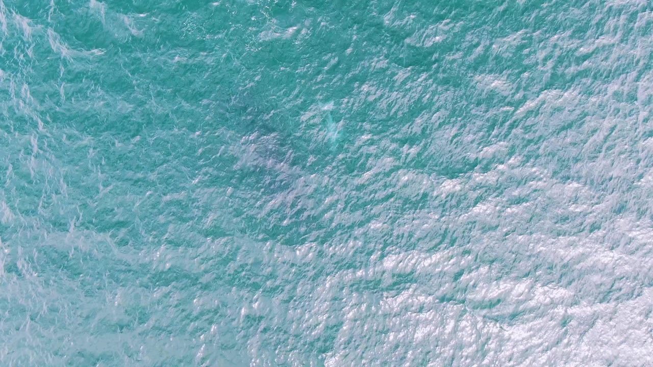 Top-down view of turquoise ocean water and white foam at Shipwrecks, Baja California Sur, with no visible people.