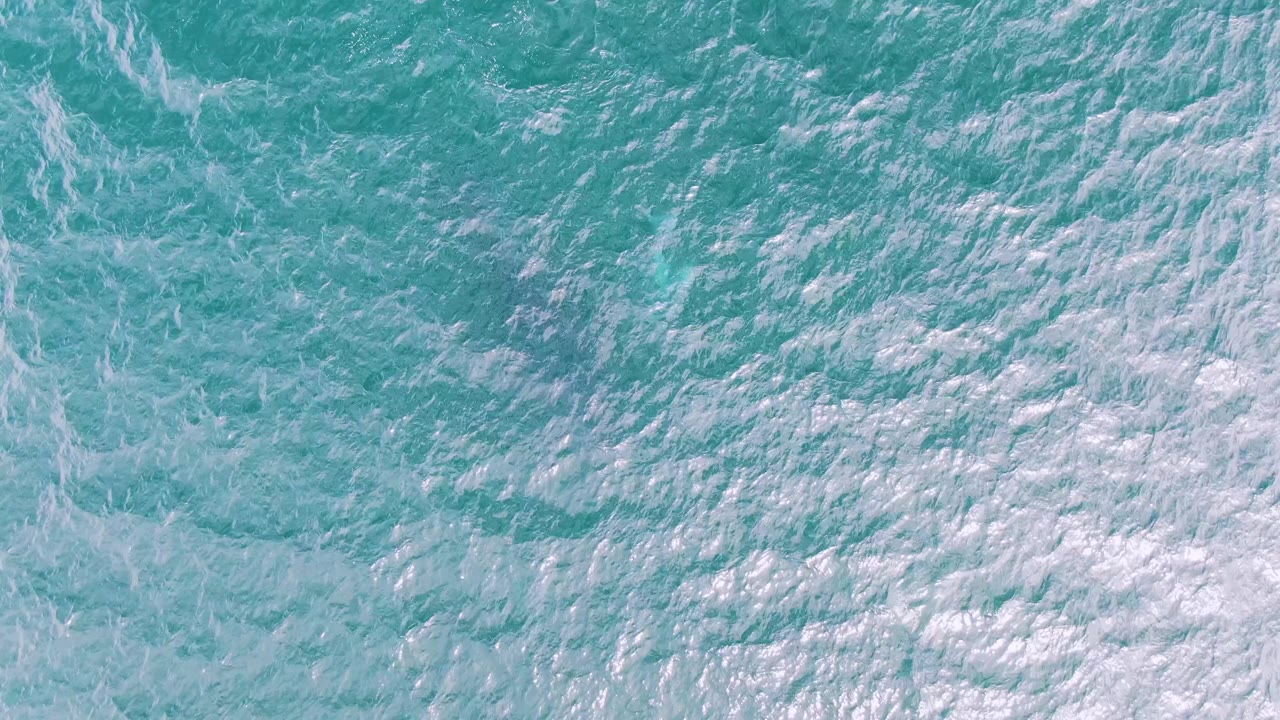 Aerial frame of Shipwrecks ocean surface where white foam gathers in broken streaks across turquoise water, with no visible people.