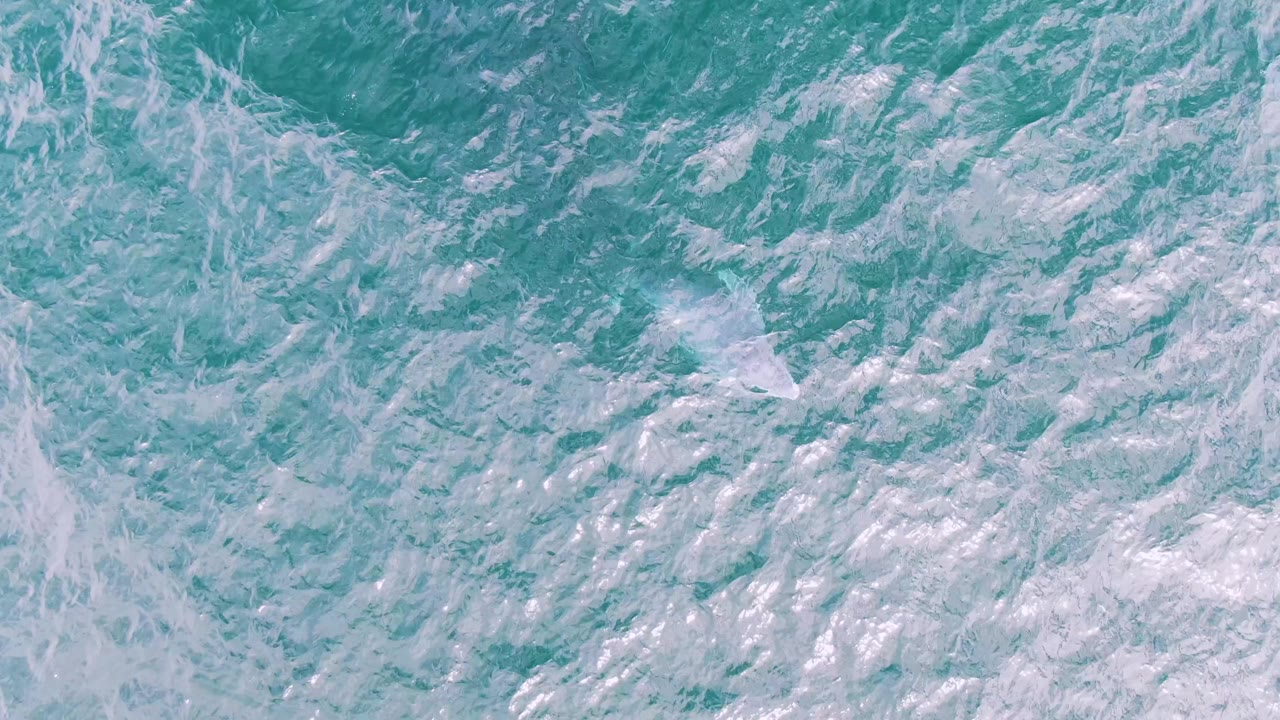 Overhead turquoise ocean frame from Shipwrecks, Baja California Sur, showing white foam patches across the water and no visible people.