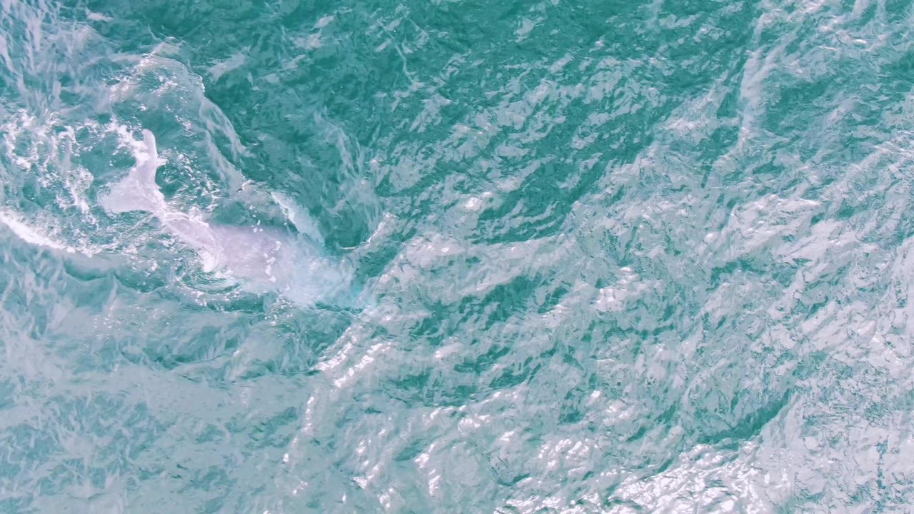 Aerial view at Shipwrecks, Baja California Sur, with a pale whale body more centered under blue-green water and soft white foam spreading around it, with no visible people.