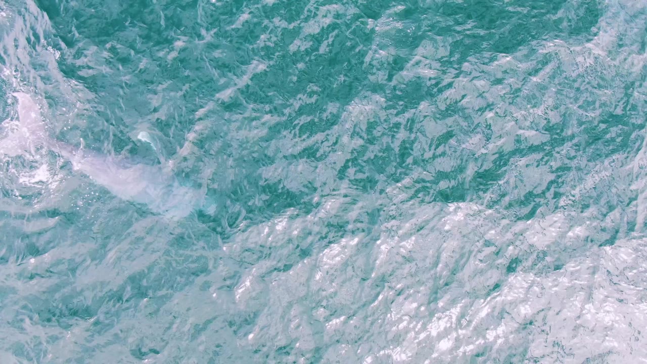 Overhead shot from Shipwrecks, Baja California Sur, showing the whale's pale wake and partial body trace amid textured turquoise water, with no visible people or vessels.