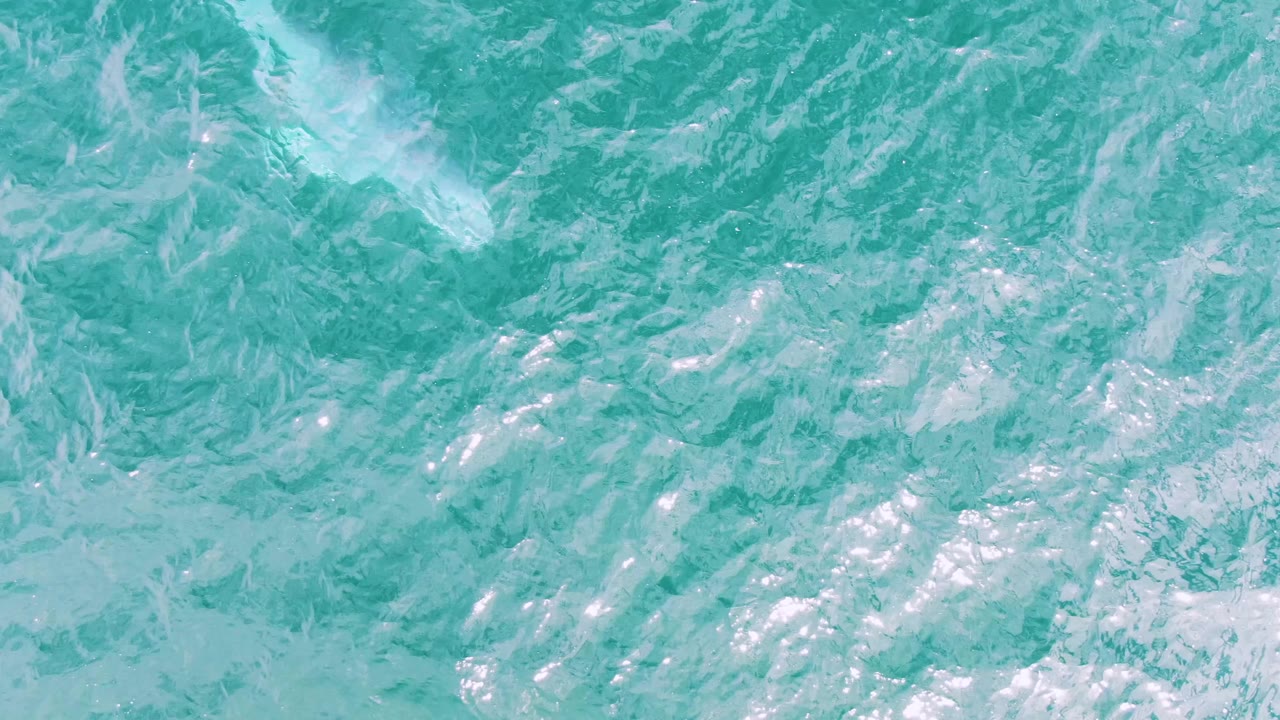 A wide overhead frame of turquoise water at Shipwrecks, Mexico, showing layered surface movement and no visible people, boats, or land.