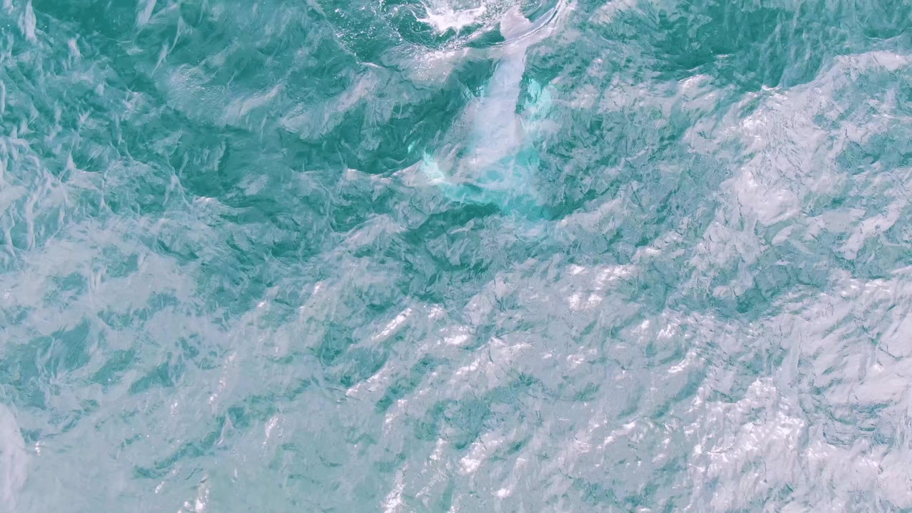 Overhead turquoise water at Shipwrecks, East Cape, Baja California Sur, shows a soft pale disturbance where the whale has moved under the surface, with no visible people.