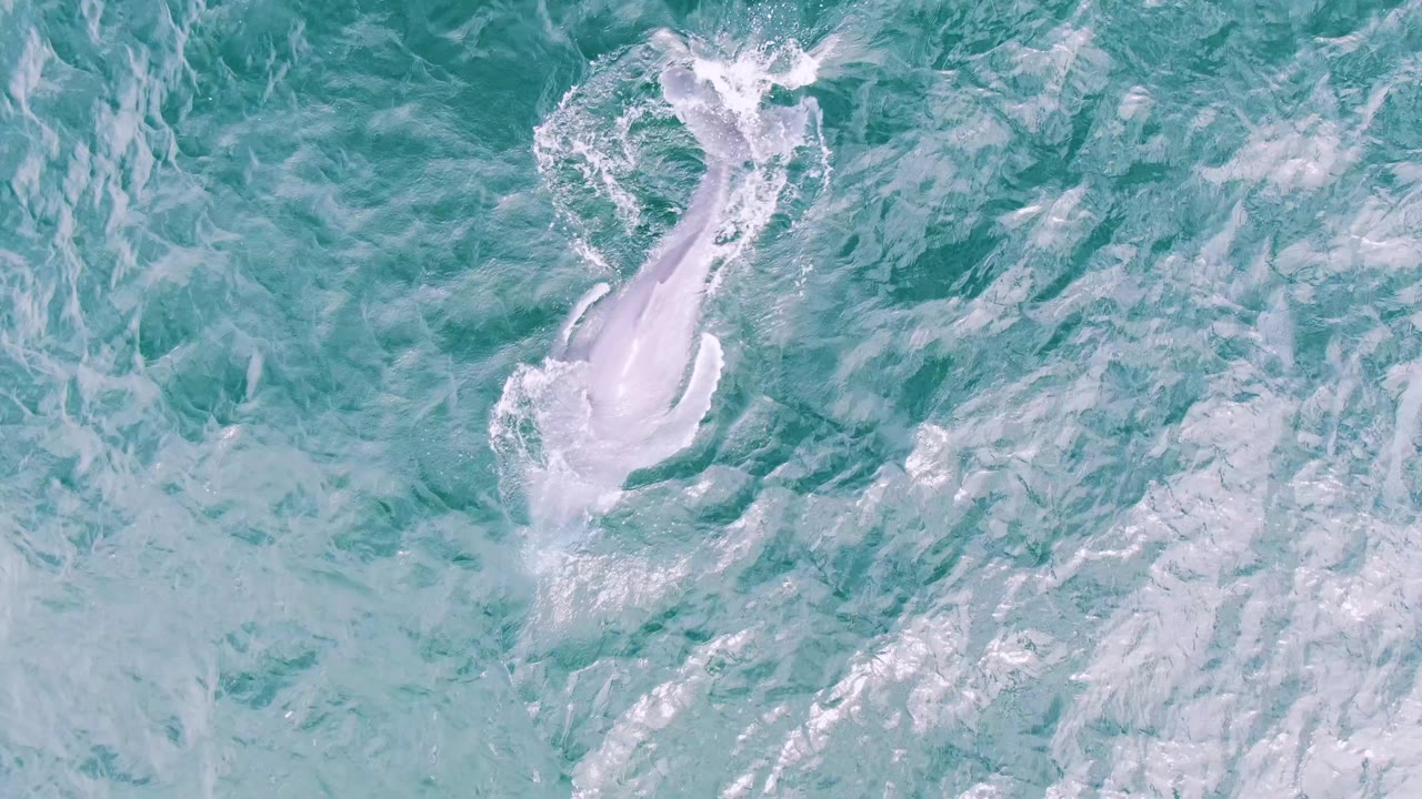 Overhead view of turquoise ocean water at Shipwrecks, Baja California Sur, with white foam streaks near the upper left and no visible people.