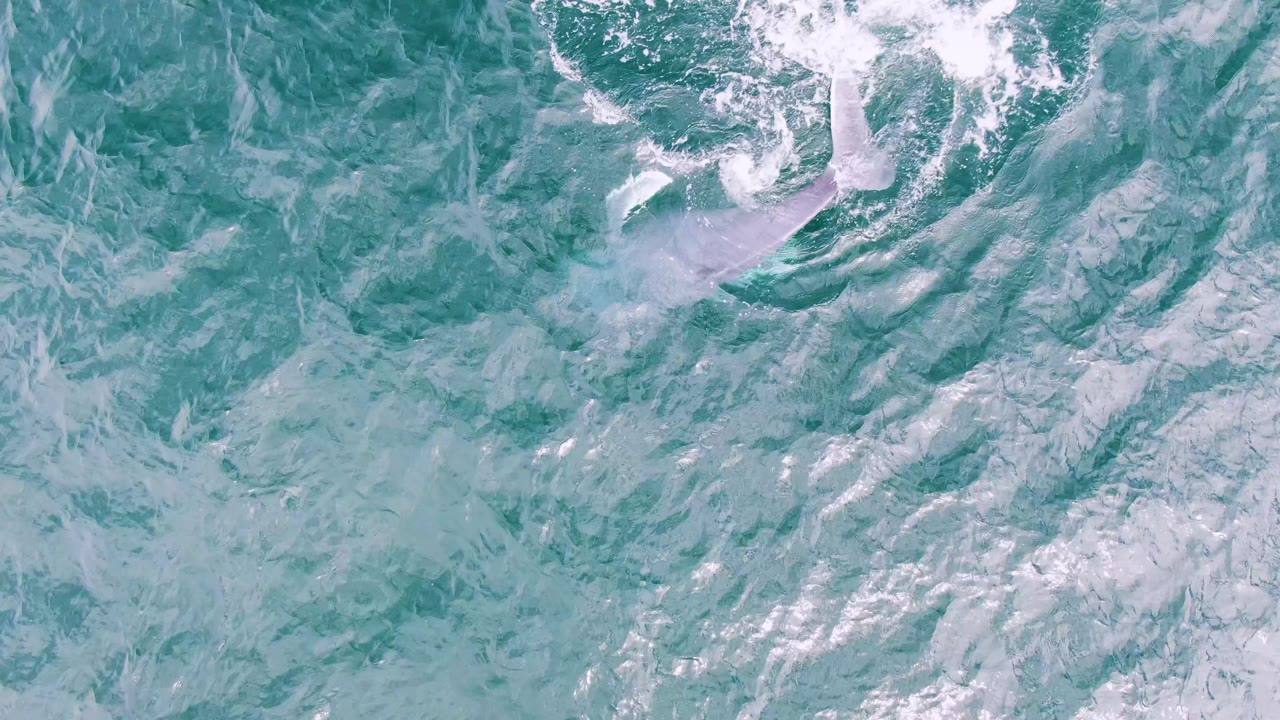 Aerial view at Shipwrecks, Baja California Sur, with a narrow white splash trail surrounded by rippled turquoise water and no visible people.
