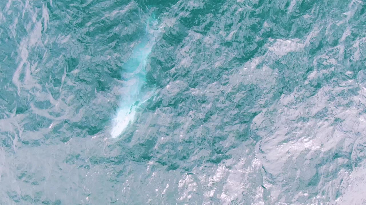 Aerial frame from Shipwrecks, Baja California Sur, Mexico, showing the white whale form slightly clearer below blue-green surface texture with no visible people.