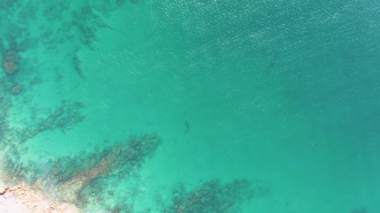 Clear turquoise water over dark submerged rock formations beside a sandy edge.