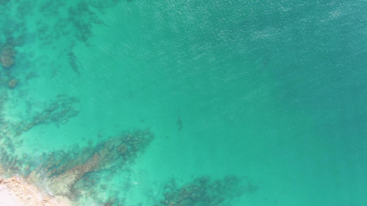 A Buzzards Beach overhead frame with the sandy edge nearly cropped to the lower left, dark reef-like shapes under blue-green water, and no visible people.