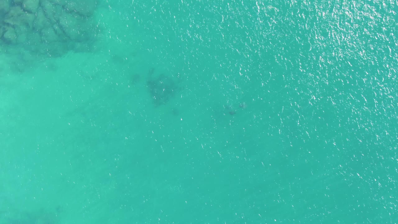 Aerial view over Buzzards Beach water with dense sun glints across the turquoise surface and soft dark underwater shapes visible below, no visible people.