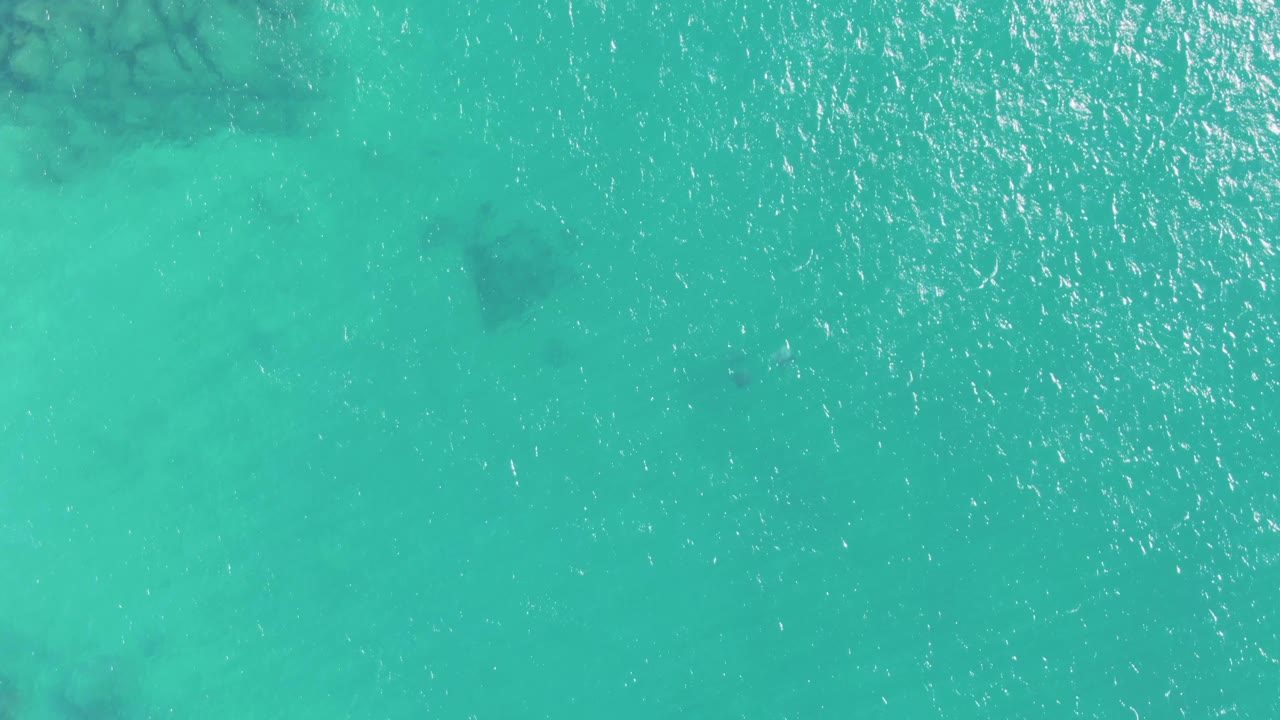 Overhead frame from Buzzards Beach showing transparent turquoise water, fine wave texture, and a faint stingray-like dark shape beneath the surface, with no visible people.