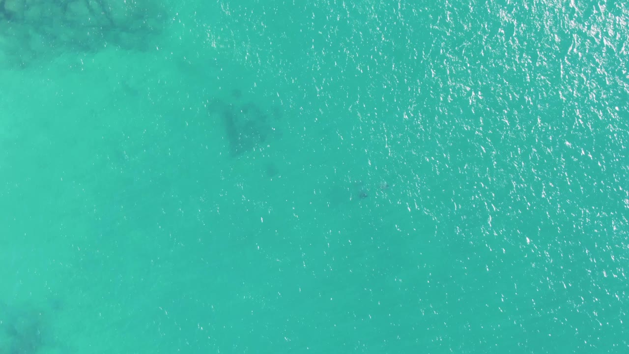 Turquoise water with scattered sun reflections and dark underwater patches