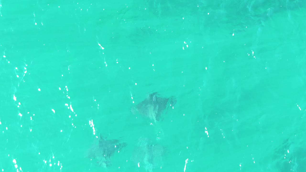 Overhead Buzzards Beach frame with a few stingrays visible under turquoise water and vertical streaks of reflected sunlight, with no visible people.